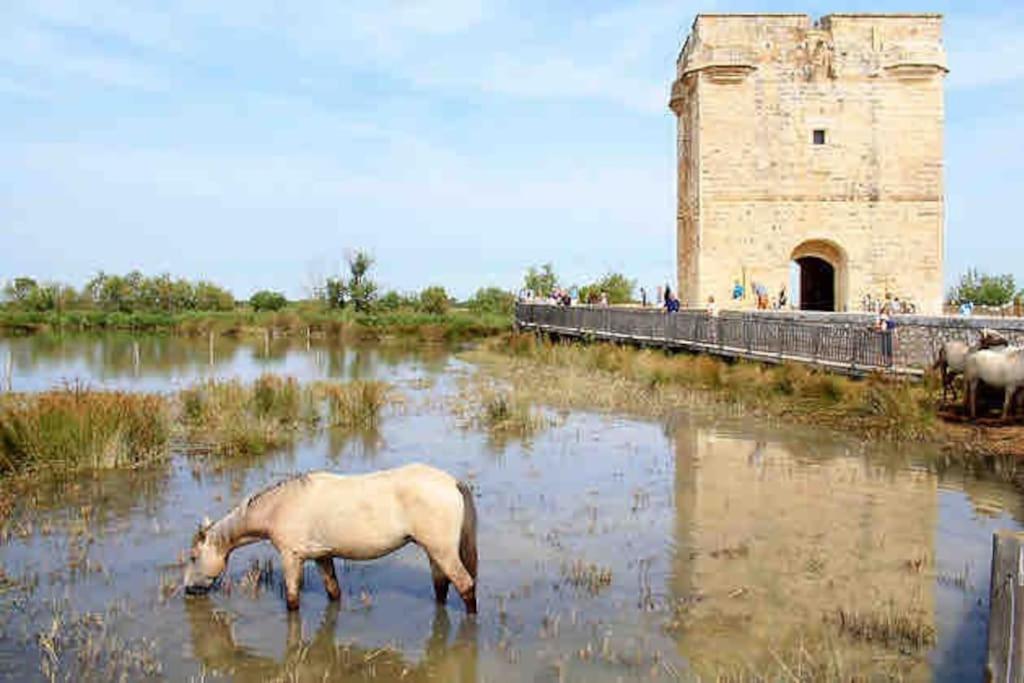 Maison Chaleureuse A 5 Mins Des Remparts Aigues-Mortes Kültér fotó