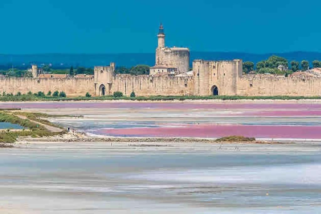 Maison Chaleureuse A 5 Mins Des Remparts Aigues-Mortes Kültér fotó